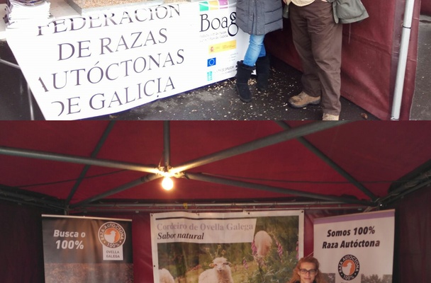 [A GALIÑA DE MOS E A OVELLA GALEGA ESTIVERON PRESENTES NA FEIRA MAGRECO 2018 - uploads/9/news/imagen-magreco-web-boaga.png]