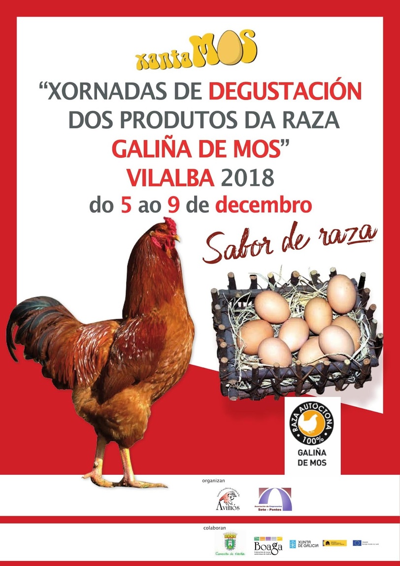 [Xornadas de Degustación dos produtos da raza Galiña de Mos en Vilalba. - uploads/9/news/cartel_xornadas_gastronomicas_mos-1.jpg]
